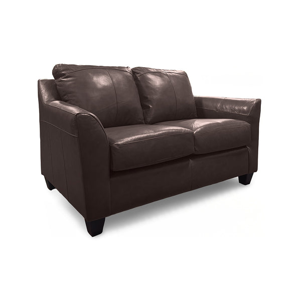 Josh Leather Loveseat