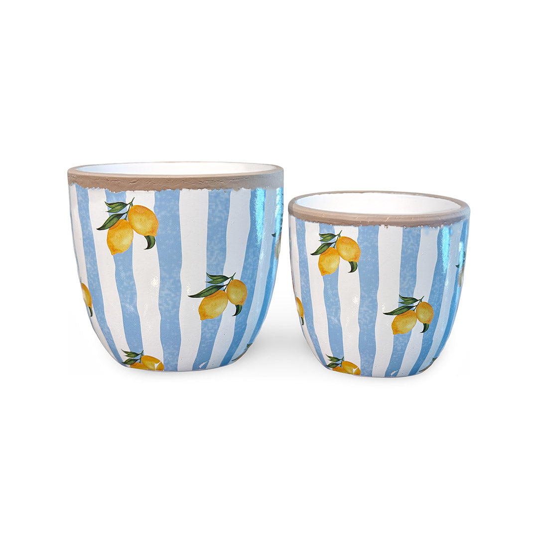 Lemon &amp; Stripe Pots (Set of 2)
