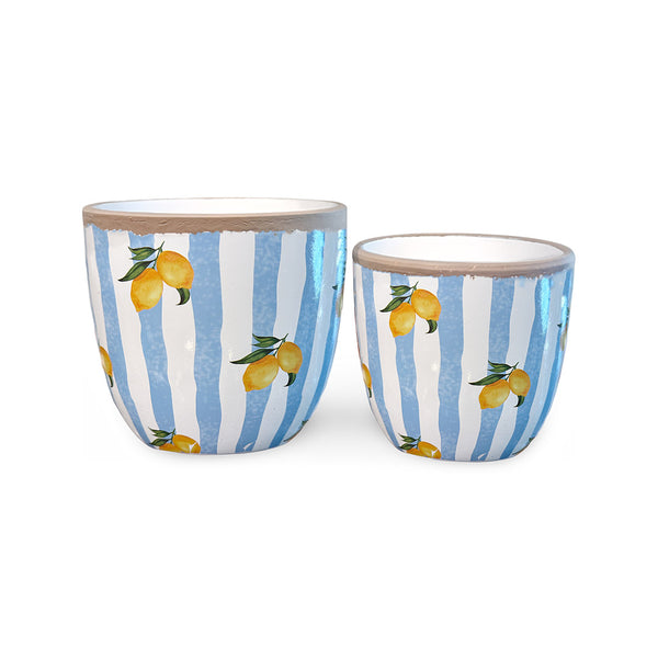 Lemon & Stripe Pots (Set of 2)