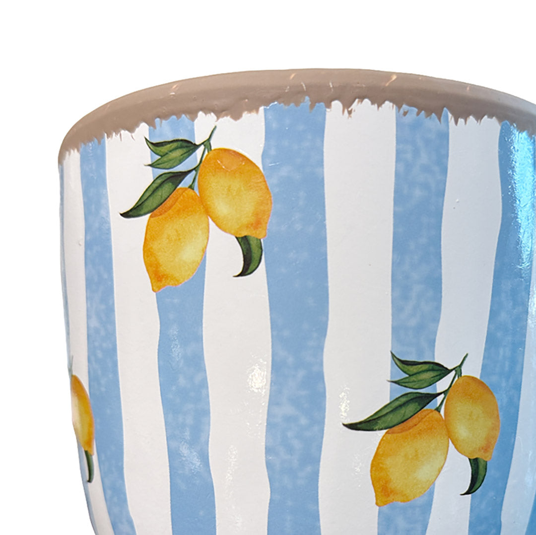 Lemon & Stripe Pots (Set of 2)