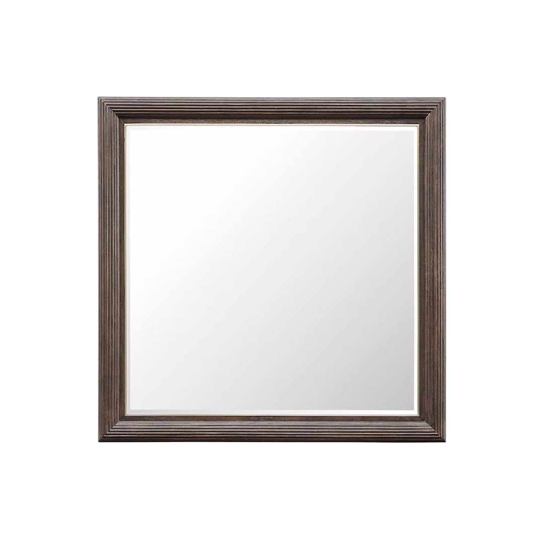 Espejo del parque Asher 