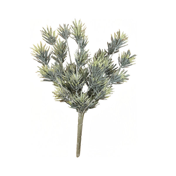 Podocarpus Stem from P D Home &amp; Garden in Green
