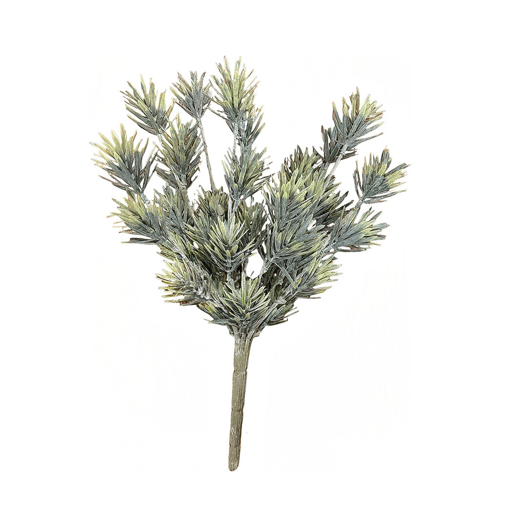 Podocarpus Stem from P D Home &amp; Garden in Green