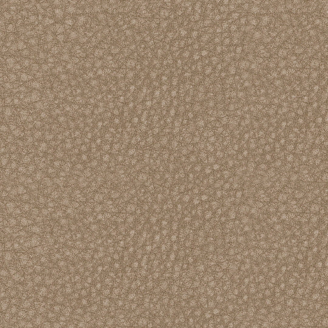 Sandra Power Recliner