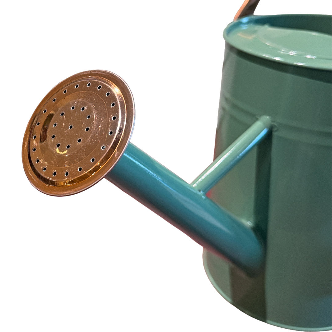 Green Metal Watering Can