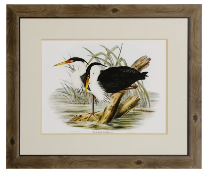 Waterbird Pairing II