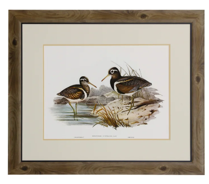 Waterbird Pairing III