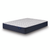 Chandy Bay Plush Euro Top Mattress