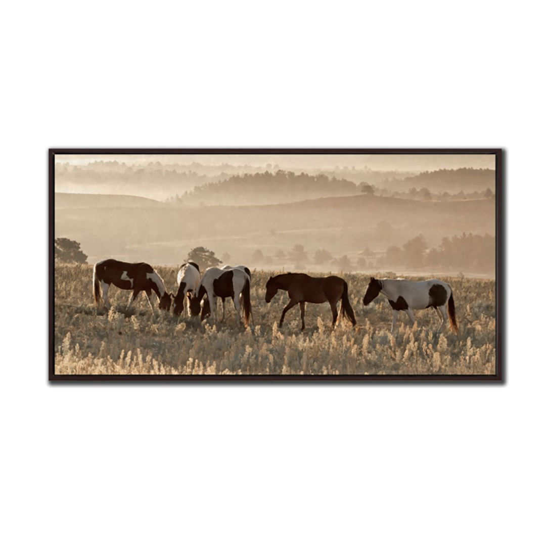 Santuario de caballos salvajes 