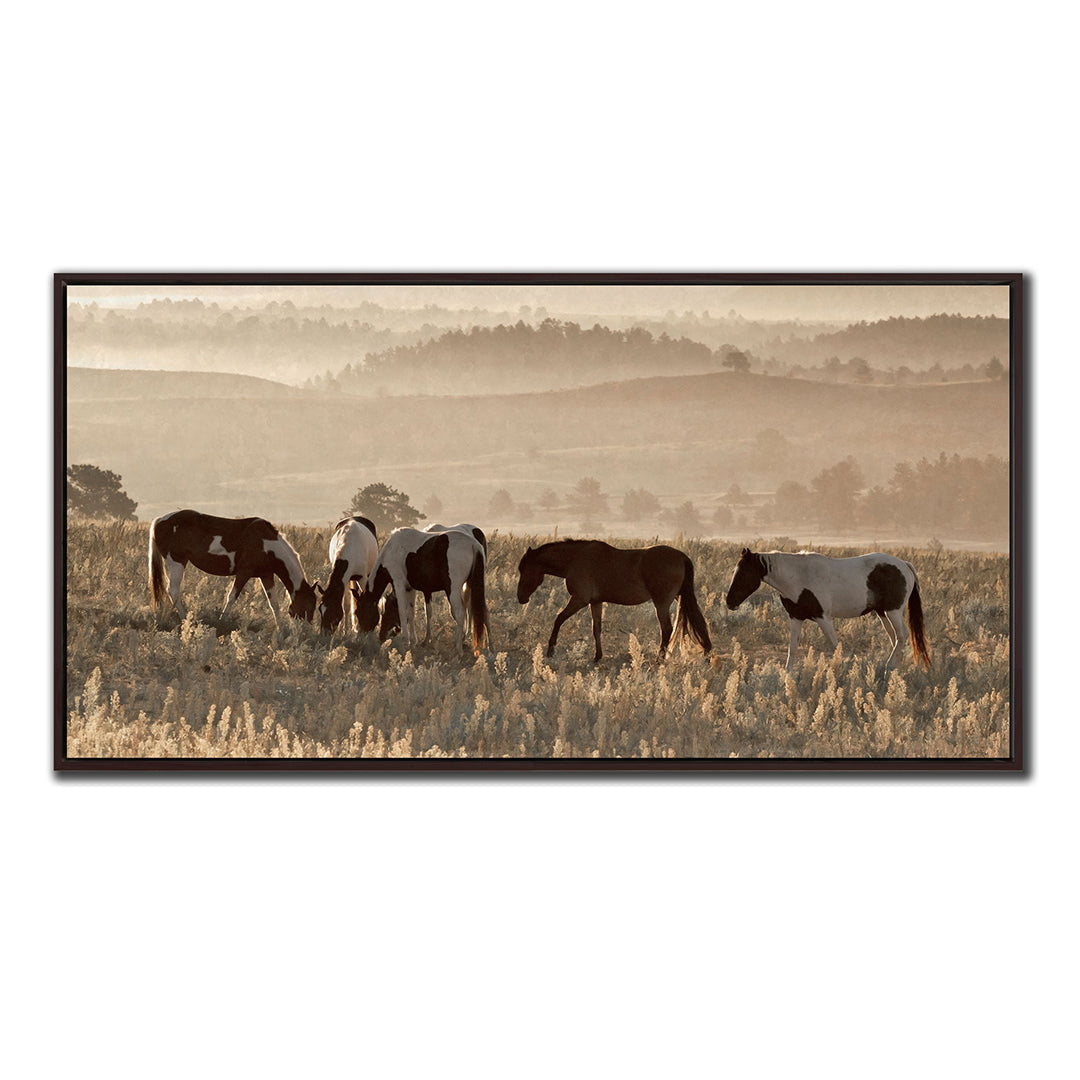 Wild Horse Sanctuary