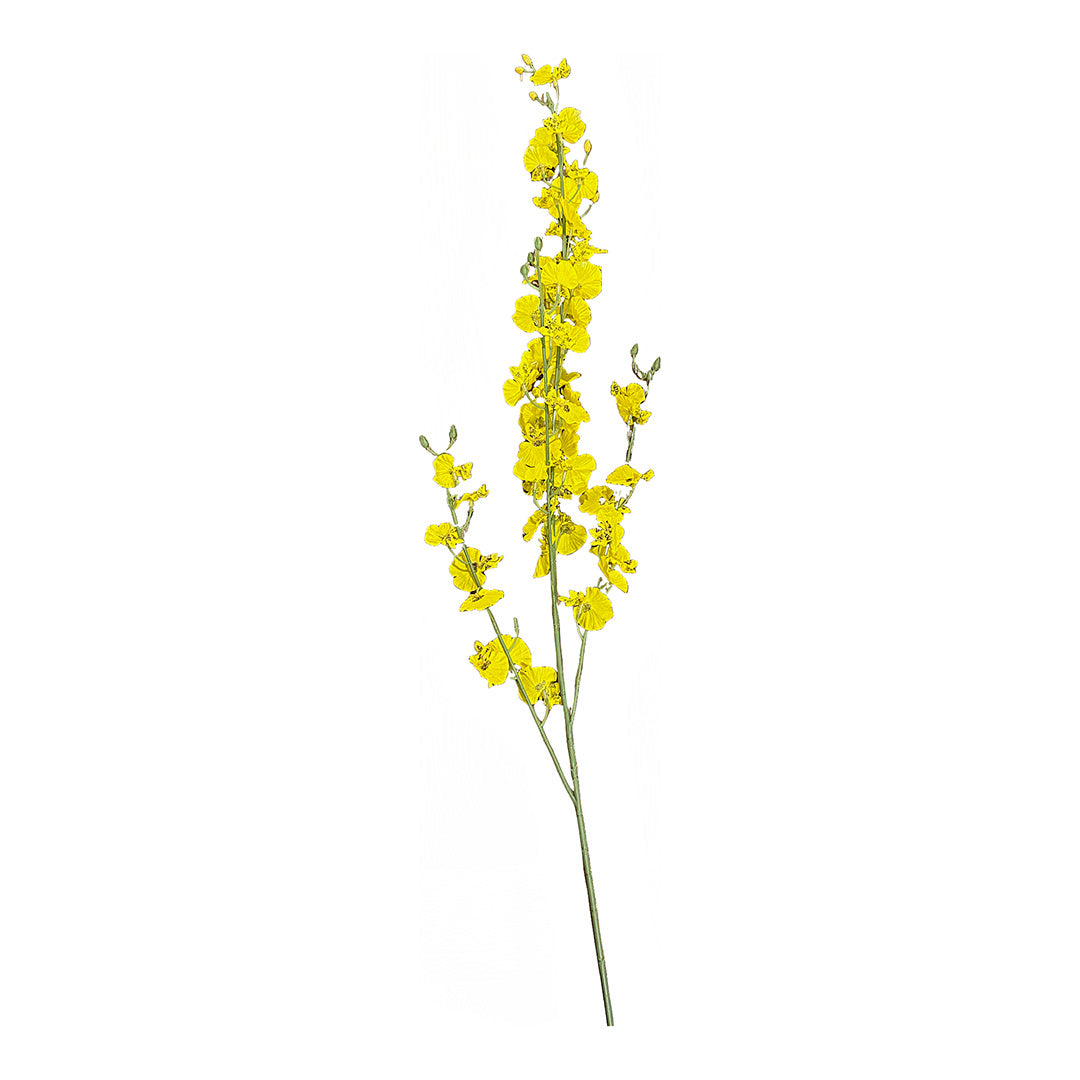 Yellow Dance Orchid from P D Home &amp; Garden