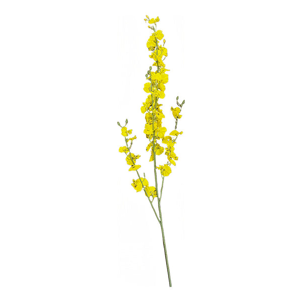 Yellow Dance Orchid from P D Home &amp; Garden