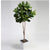 Fiddle Leaf Fig Tree in Metal Container - 7 Ft
